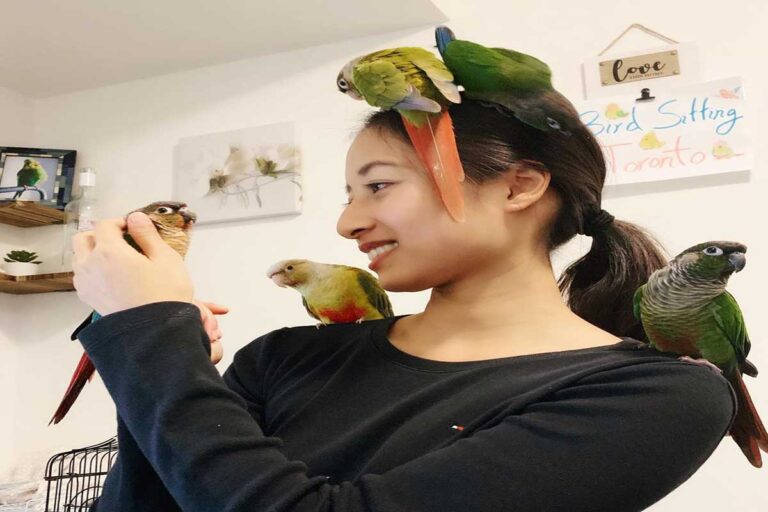 261934698 925756114730411 71062532860464218 N - Bird Sitting Brampton